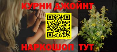 прущие грибы Тверь
