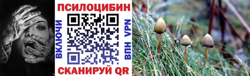 наркошоп  Рыбинск  Галлюциногенные грибы GOLDEN TEACHER 