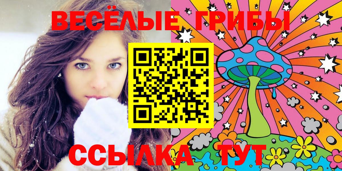 где найти   Псилоцибиновые грибы Psilocybe  Рыбинск  Вход с VPN  Псилоцибиновые грибы мицелий 